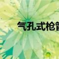 气孔式枪管（关于气孔式枪管的介绍）