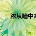 浓从暗中来（关于浓从暗中来的介绍）