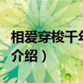 相爱穿梭千年插曲（关于相爱穿梭千年插曲的介绍）