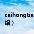 caihongtianxin（关于caihongtianxin的介绍）