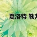 夏洛特 勒邦（关于夏洛特 勒邦的介绍）