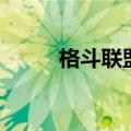 格斗联盟（关于格斗联盟的介绍）