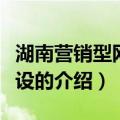 湖南营销型网站建设（关于湖南营销型网站建设的介绍）