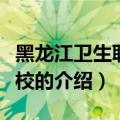 黑龙江卫生职业学校（关于黑龙江卫生职业学校的介绍）