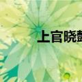 上官晓懿（关于上官晓懿的介绍）