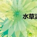 水草泥（关于水草泥的介绍）