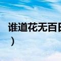 谁道花无百日红（关于谁道花无百日红的介绍）