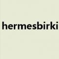 hermesbirkin（关于hermesbirkin的介绍）