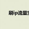 刷ip流量宝（关于刷ip流量宝的介绍）