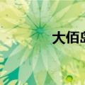 大佰岛（关于大佰岛的介绍）