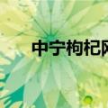 中宁枸杞网（关于中宁枸杞网的介绍）