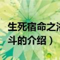 生死宿命之浴血格斗（关于生死宿命之浴血格斗的介绍）