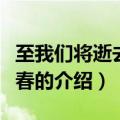 至我们将逝去的青春（关于至我们将逝去的青春的介绍）