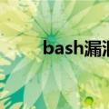 bash漏洞（关于bash漏洞的介绍）