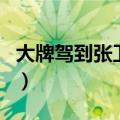 大牌驾到张卫健（关于大牌驾到张卫健的介绍）