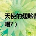 天使的翅膀是谁创作的（天使的翅膀是谁的原唱?）