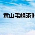 黄山毛峰茶叶价格表2021（黄山毛尖特性）