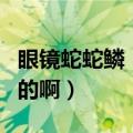 眼镜蛇蛇鳞（请问各位眼镜蛇鳞片去哪里弄到的啊）