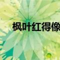 枫叶红得像什么句子（枫叶红得像什么）