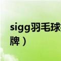 sigg羽毛球拍怎么样（羽毛球拍SIGG是什么牌）