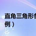 直角三角形各边长比例表（直角三角形边长比例）