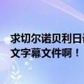 求切尔诺贝利日记的字幕文件（我下的是英文原版的急求中文字幕文件啊！！！）