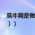 筑牛网是做什么的?（在筑牛网可以做什么（））