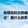 粉蝶如知合断魂前一句（“粉蝶如知合断魂”这句话中的“合”是什么意思）