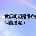 黄瓜明明是绿色的为什么叫黄瓜（黄瓜明明是绿色的为什么叫黄瓜呢）