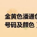 金黄色潘通色号（潘通色号查询莹光黄是什么号码及颜色）