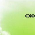 cxone是什么软件（cxo）