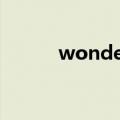 wonderful you（wonderful）