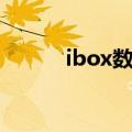 ibox数字藏品官网（ibox官网）