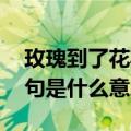 玫瑰到了花期 下一句是（玫瑰到了花期下一句是什么意思）