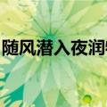 随风潜入夜润物细无声的意思是什么的短视频