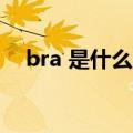 bra 是什么意思?（bra是什么意思中文）