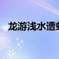 龙游浅水遭虾戏 虎落平阳被犬欺,有朝一日