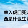 羊入虎口死定了代表什么生肖（羊入虎口命归西是什么生肖）