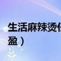 生活麻辣烫任盈盈个人资料（生活麻辣烫任盈盈）