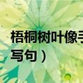 梧桐树叶像手掌仿写句子（梧桐树叶像手掌仿写句）