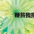 鞭笞我把公瑾（请鞭挞我吧 公瑾）