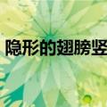 隐形的翅膀竖笛教程（隐形的翅膀竖笛简谱）