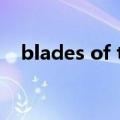 blades of time重置（blades of time）