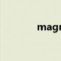 magnetism and magnetic