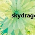 skydragon是什么药（skydragon）