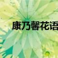 康乃馨花语和寓意送母亲（康乃馨花语）