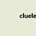 cluelessboy（clueless boy）