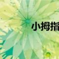 小拇指加盟条件（小拇指加盟）