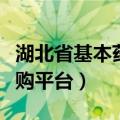 湖北省基本药物采购目录（湖北省基本药物采购平台）