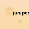 juniper认证体系（juniper认证）